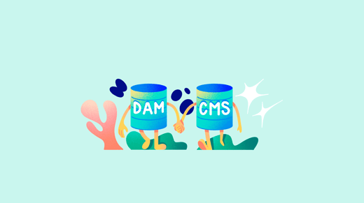 A DAM system and a CMS hand in hand